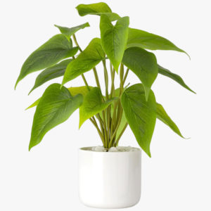 Alas Large Indoor Artificial Plants Pot