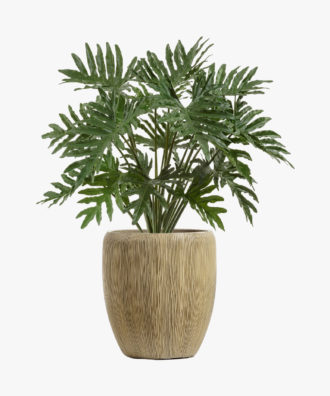 Philo Alobtt Artificial New Xanadu Plant