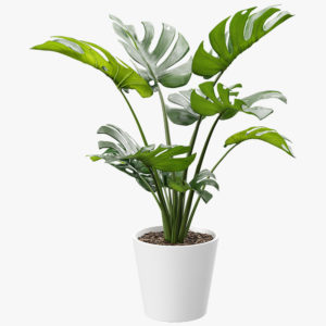 Tied Artificial Swiss Cheese Potted Plant