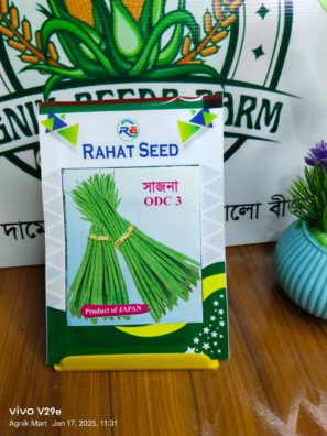 F1 Hybrid Sajna ODC-3/বারোমাসি সজিনা বীজ