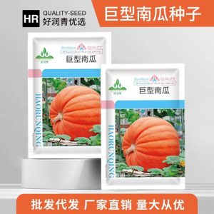 āĻŽāĻŋāώā§āĻāĻŋāĻā§āĻŽā§āĻžāϰ āĻŦā§āĻ (Honey Pumpkin Seeds) đ āĻāύā§āύāϤ āĻāĻžāϤā§āϰ āĻŦā§āĻ,