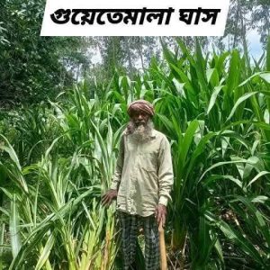 WhatsApp-Image-2025-12-18-at-1.30.02-PM-1.jpeg
